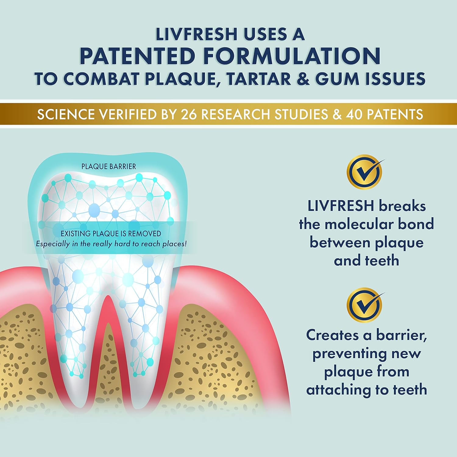 LIVFRESH Toothpaste Gel - SLS Free Dental Gel, Wintergreen